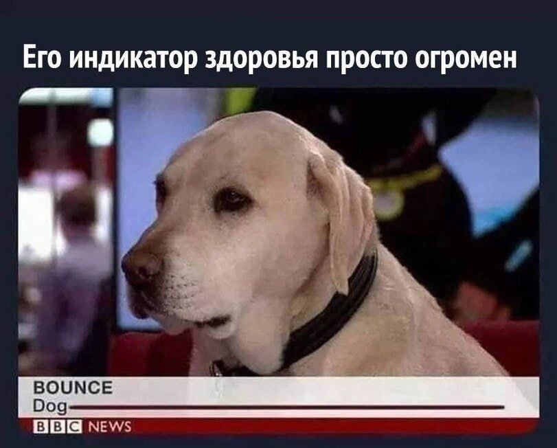 Его индикатор здоровья просто огромен BOUNCE