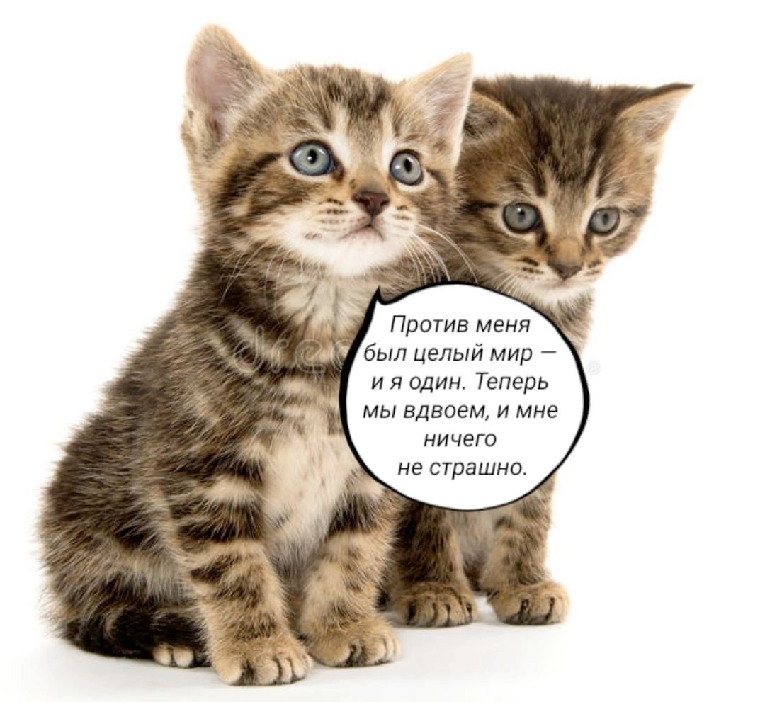 Против меня целый мир один. Теперь мы вдвоем, и мне ничего не страшно.