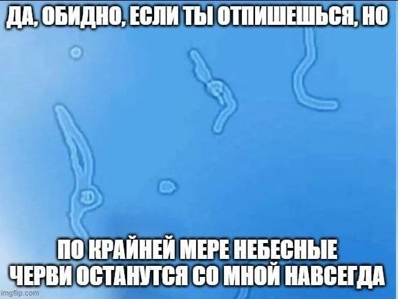 ДА, ОБИДНО, ЕСЛИ ТЫ! ОТПИШЕШЬСЯ, ПО КРАЙНЕЙ МЕРЕ НЕБЕСНЫЕ [ЧЕРВИ ОСТАНУТСЯ МНОЙ НАВСЕГДА