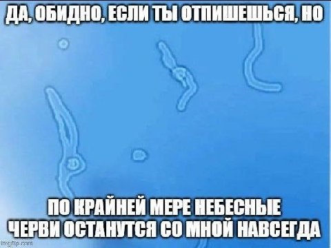 ДА, ОБИДНО, ЕСЛИ ТЫ! ОТПИШЕШЬСЯ, ПО КРАЙНЕЙ МЕРЕ НЕБЕСНЫЕ [ЧЕРВИ ОСТАНУТСЯ МНОЙ НАВСЕГДА
