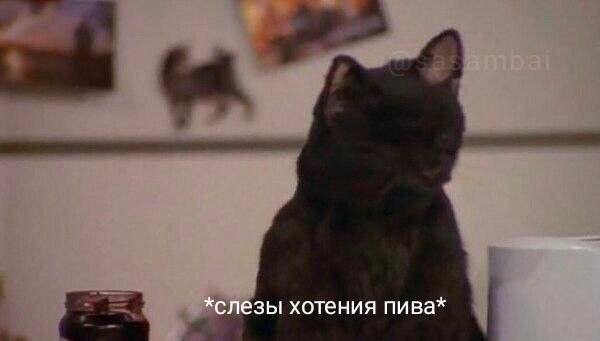 *слезы хотения пива*