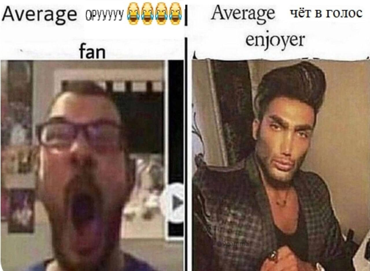Average Average чёт в голос fan enjoyer