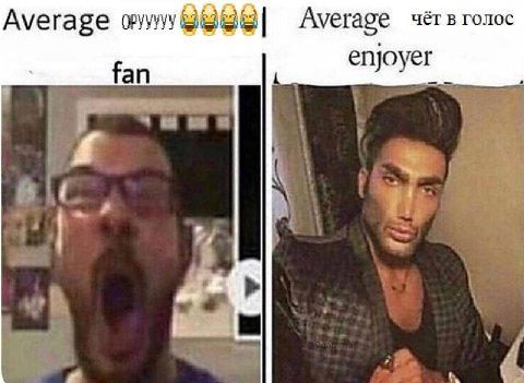 Average Average чёт в голос fan enjoyer