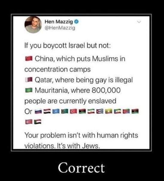 Hen Mazzig Непм: you boycott Israel but not: China, which puts Muslims in concentration camps Qatar, where being gay is illegal а Mauritania, where 800,000 people are currently enslaved isn’t with hum