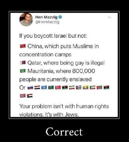 Hen Mazzig Непм: you boycott Israel but not: China, which puts Muslims in concentration camps Qatar, where being gay is illegal а Mauritania, where 800,000 people are currently enslaved isn’t with hum