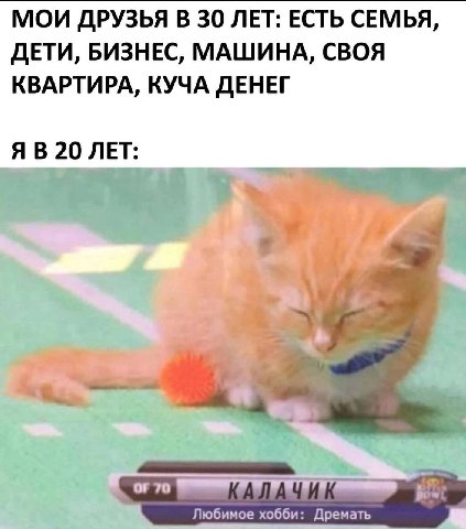 МОИ ДРУЗЬЯ В 30 ЛЕТ: ЕСТЬ СЕМЬЯ, ДЕТИ, БИЗНЕС, МАШИНА, СВОЯ КВАРТИРА, КУЧА ДЕНЕГ Я В 20 ЛЕТ: or 70 Любимое хобби: Дремать
