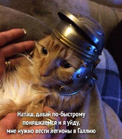 Наташ, давай по-быстрому поняшкаемся и я уйду, мне нужно вести легионы в Галлию