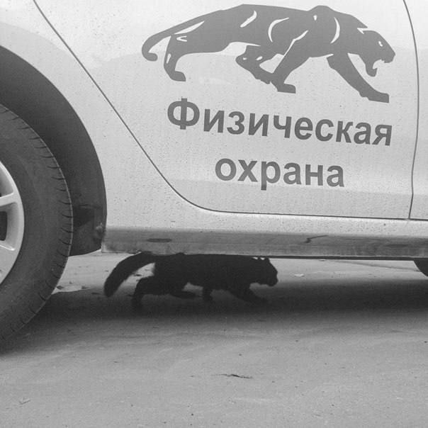 Физическая охрана у