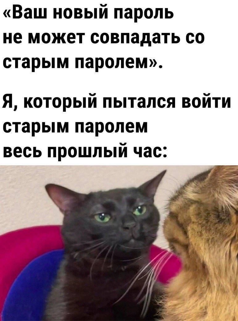«Ваш новый пароль не может совпадать старым паролем». Я, который пытался войти старым паролем весь прошлый час: