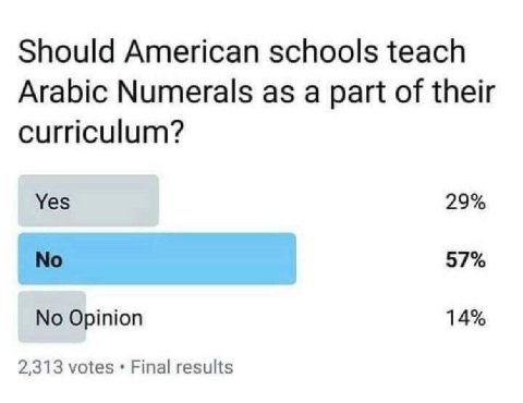 Should American schools teach Arabic Numerals as a part of their curriculum? Yes 29% No 57% No Opinion 14% 2,313 votes Final results