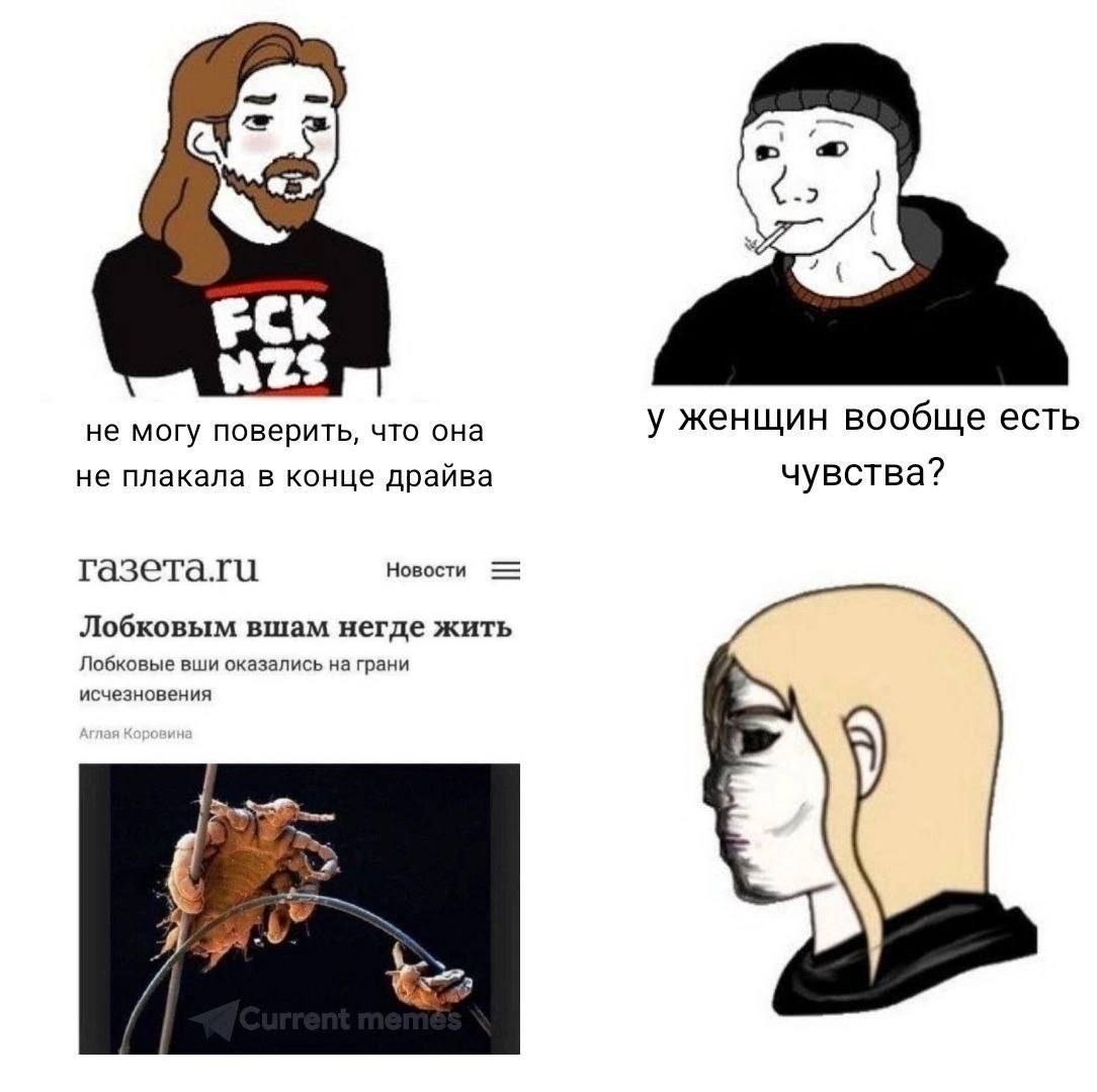не могу поверить, что она у женщин вообще есть не плакала в конце драйва чувства? газета.ги Новости Лобковым вшам негде жить Лобковые вши оказались на грани исчезновения Я Я