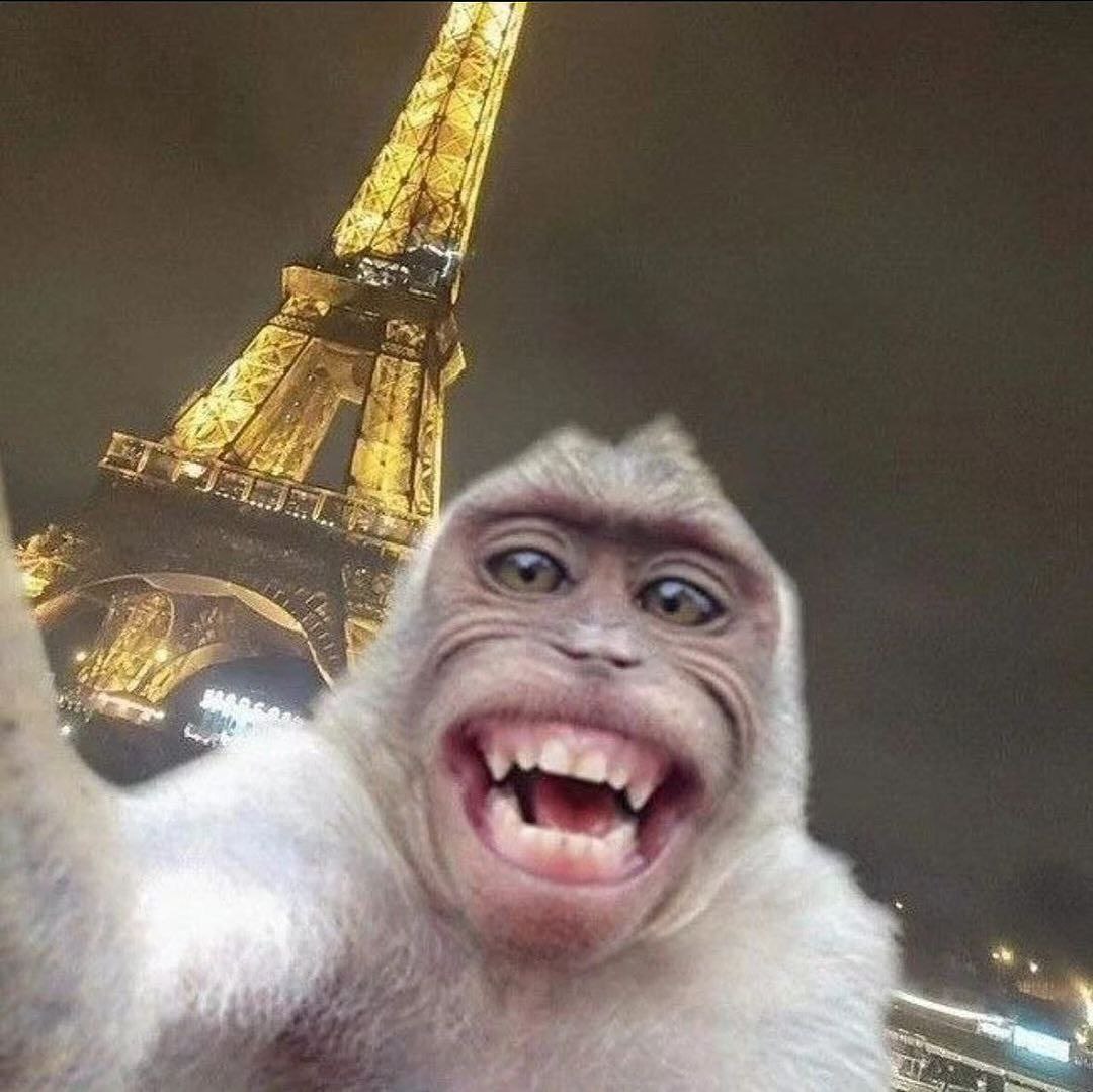who was in Paris?