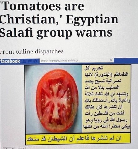 Tomatoes are Egyptian Salafi group warns From online dispatches You 38 21248 С)