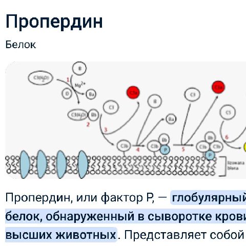 Пропердин Белок Пропердин, или фактор глобулярный белок, обнаруженный в сыворотке кров! высших животных. Представляет собой