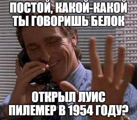 ПОСТОЙ; ТЫ ГОВОРИШЬ ОТКРЫЛ ЛУИС ПИЛЕМЕР В 1954