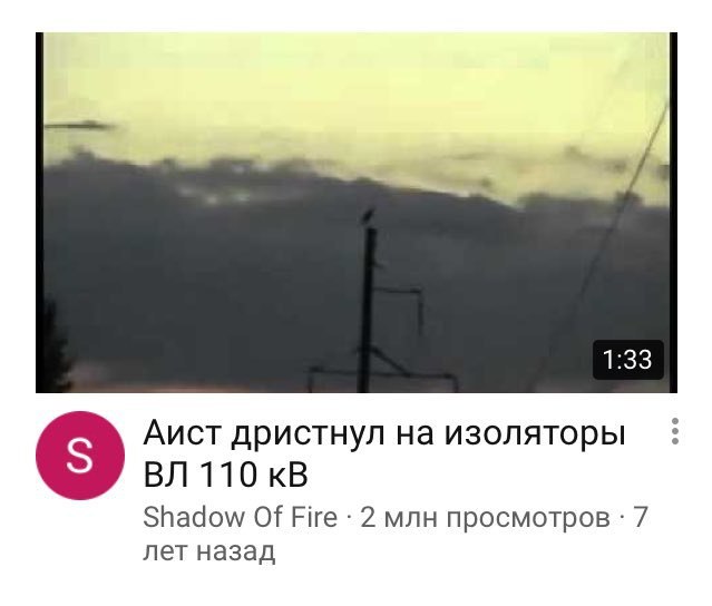 Аист дристнул на изоляторы 110 Shadow Of Fire -2 млн просмотров 7 лет назад