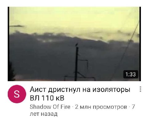 Аист дристнул на изоляторы 110 Shadow Of Fire -2 млн просмотров 7 лет назад