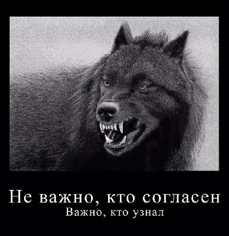 Не важно, кто согласен Важно, кто узнал