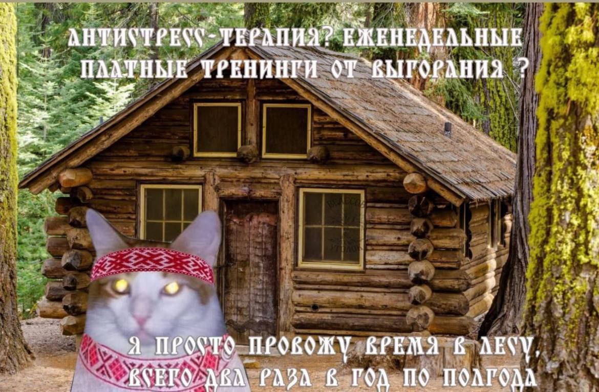 ЕЖЕНЕДЕЛЬНЫЕ ПЛАТНЫЕ ТРЕНИНГИ Я ПРОВОЖУ АВА РАЗА В ГОД 10