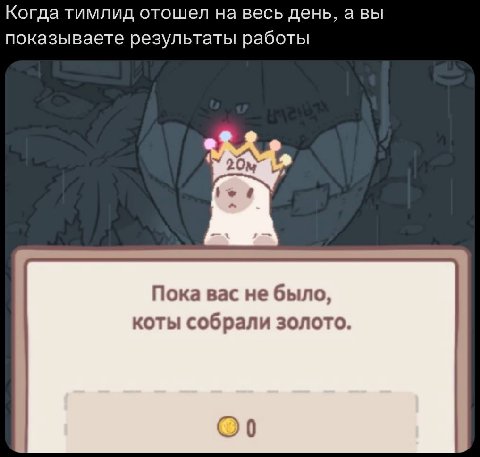 Когда тимлид отошел на весь день, а вы показываете результаты работы Пока Bac He было, коты собрали золото.