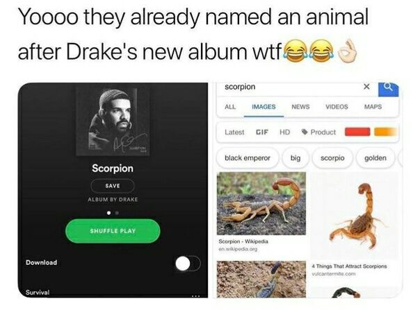 Yoooo they already named an animal after Drake's new абит scorpion ALL IMAGES NEWS VIDEOS MAPS Latest Product black emperor big Scorpio golden Scorpion к SAVE С 3 у Download 4 Things That Attract Scor