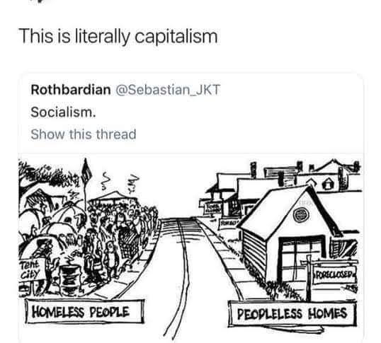 This is literally capitalism Rothbardian @Sebastian_JKT Socialism. Show this thread у] Я HOMELESS PEOPLE PEOPLELESS HOMES