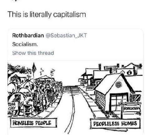 This is literally capitalism Rothbardian @Sebastian_JKT Socialism. Show this thread у] Я HOMELESS PEOPLE PEOPLELESS HOMES