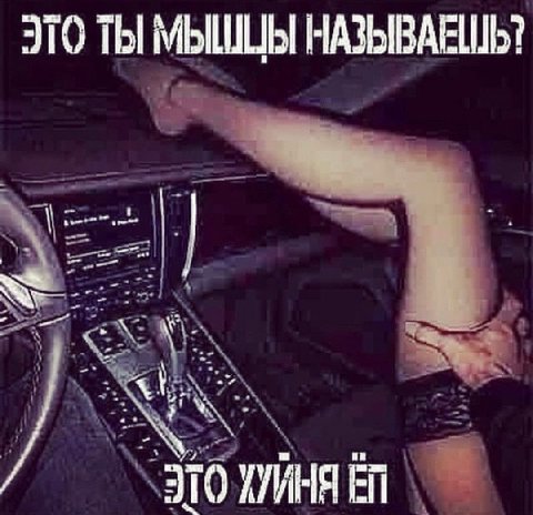 ЭТО ТЫ МЫШЦЫ НАЗЫВАЕШЬ?
