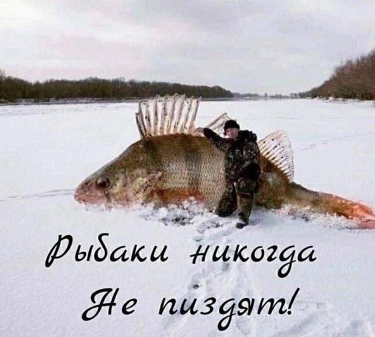 i Дыдаки пизаят!