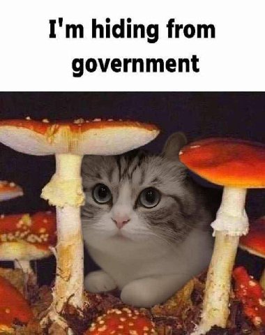 hiding from government