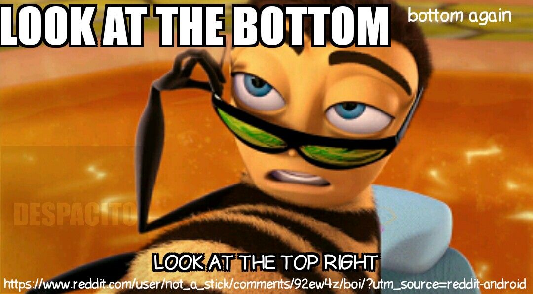 LOOK AT THE ВОТТОМ No or LOOK AT. THE TOP https://www.reddit.co source=reddit-android