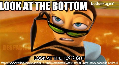 LOOK AT THE ВОТТОМ No or LOOK AT. THE TOP https://www.reddit.co source=reddit-android