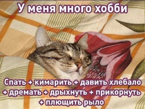 У меня много, Спать +.кимарить'+ давить хлебало +:дремать прикорнуть» дрыхнуть