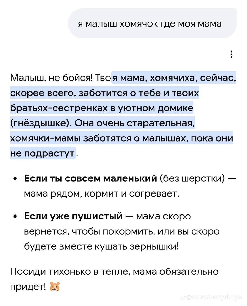 я малыш хомячок где моя мама Малыш, не бойся! Твоя мама, хомячиха, сейчас, скорее всего, заботится о тебе и твоих братьях-сестренках в уютном домике (гнёздышке). Она очень старательная, хомячки-мамы з