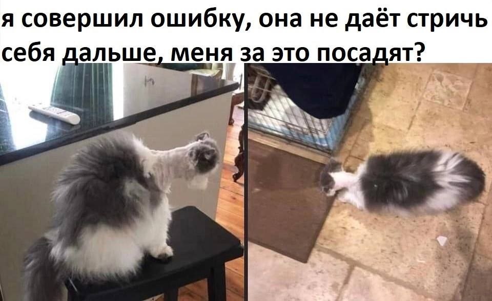 Очередная узкоеблая падла