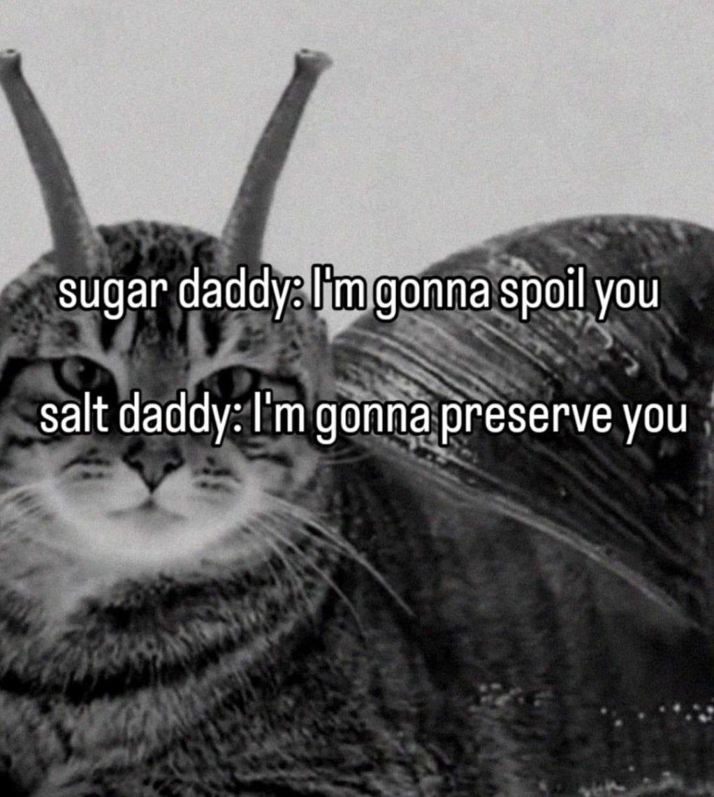sugar daddy: gonna spoil you salt daddy: gonna preserve you