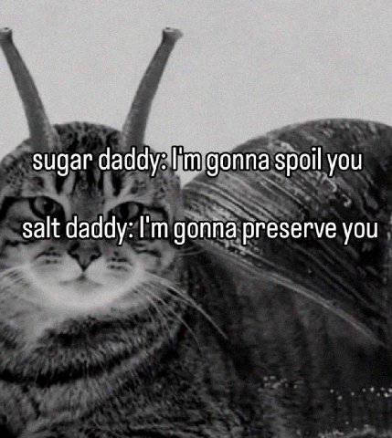 sugar daddy: gonna spoil you salt daddy: gonna preserve you
