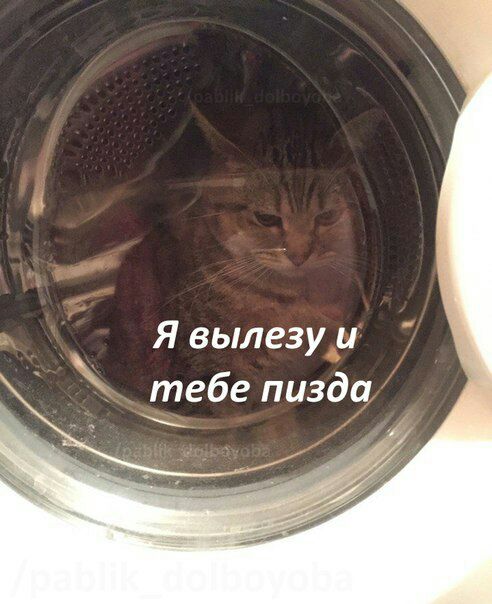 Я вылезу и тебе пизда