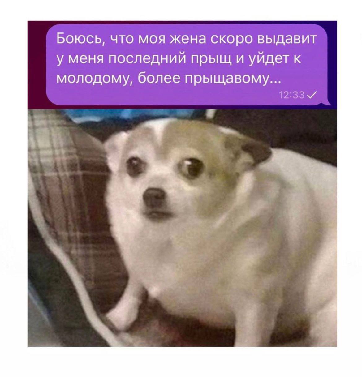 Боюсь, что моя жена скоро выдавит у меня последний прыщ и уйдет к молодому, более прыщавому...