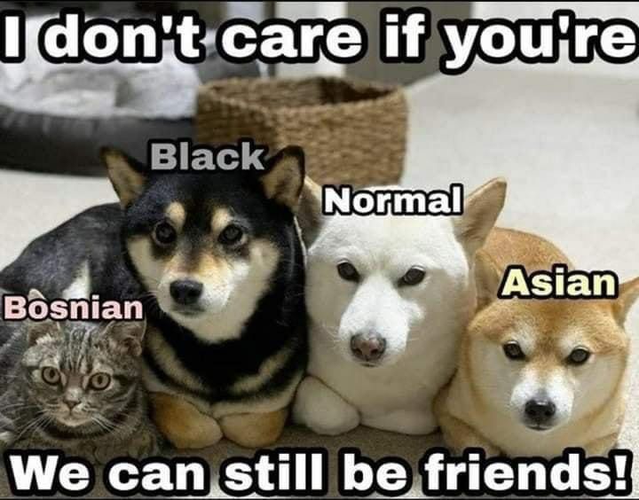 I саге if youjre Asian Bosnian +4 We can still be friends!