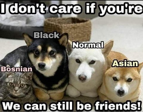 I саге if youjre Asian Bosnian +4 We can still be friends!