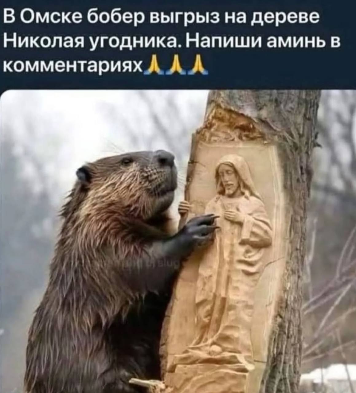 В Омске бобер выгрыз на дереве Николая угодника. Напиши аминь в комментариях я