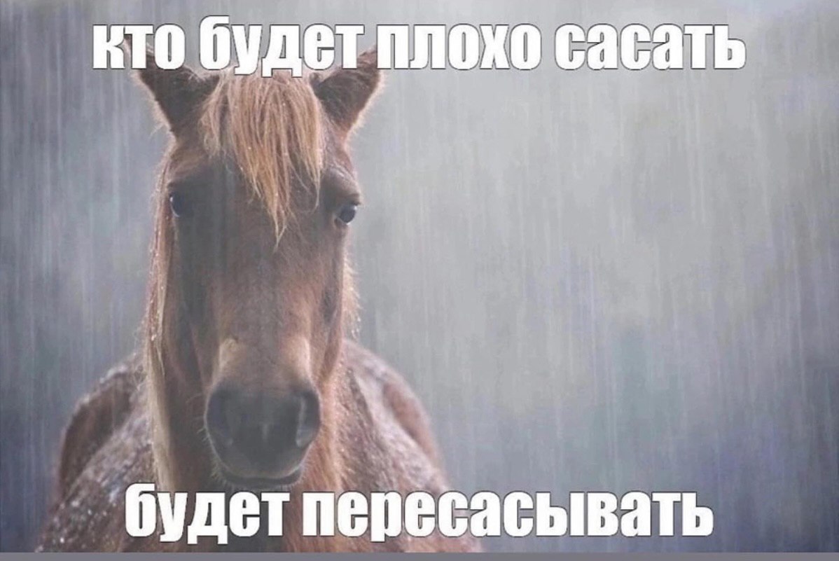 кто будетплохо саса кто сасать i A 1 будет ide ересасывать