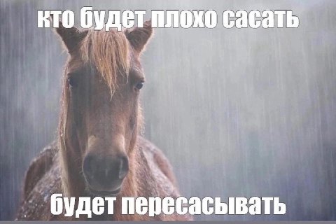 кто будетплохо саса кто сасать i A 1 будет ide ересасывать