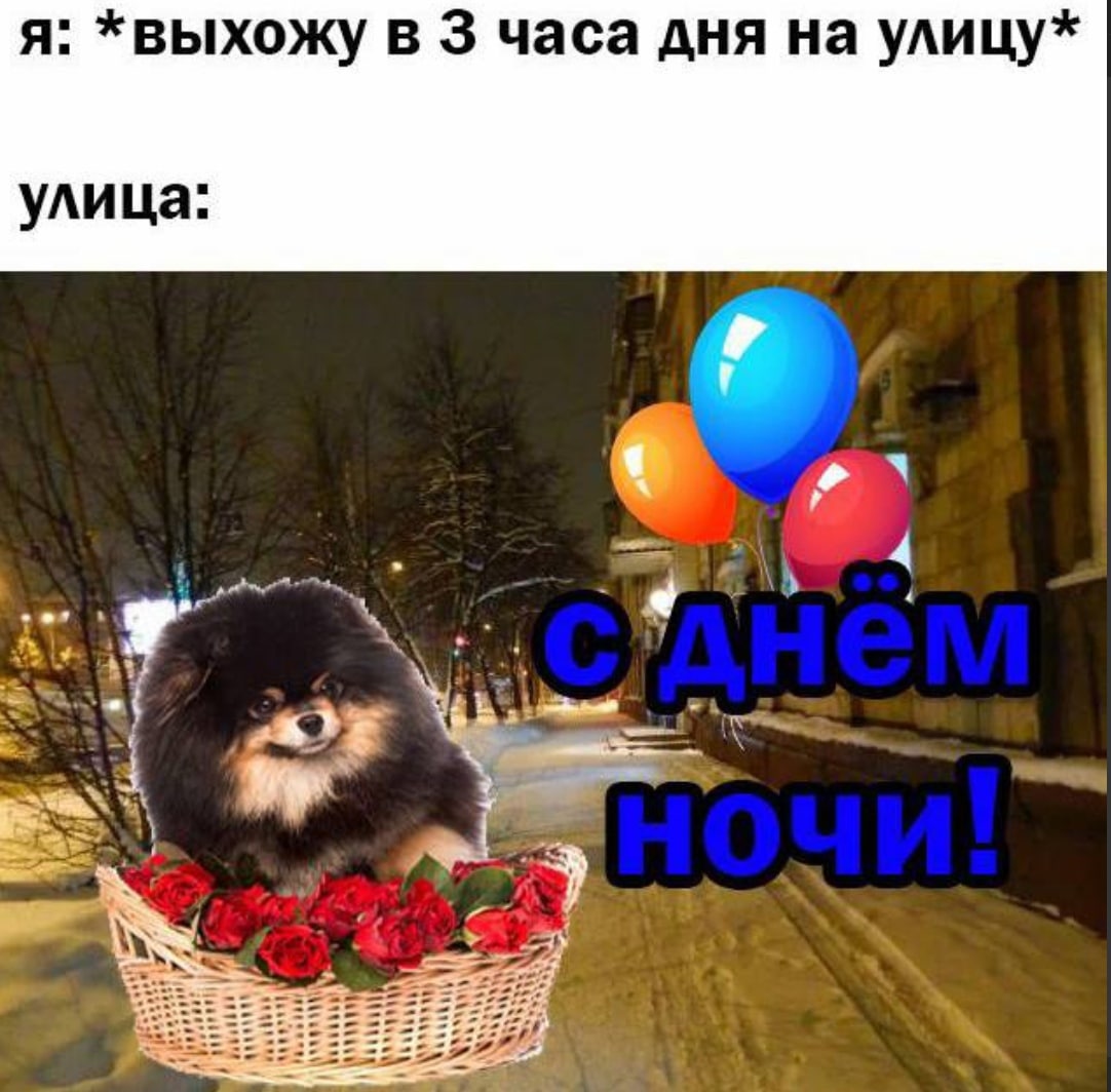 я: *выхожу в 3 часа дня на улицу* улица:
