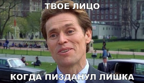 ТВОЕ ЛИЦО КОГДА ПИЗДАНУЛ ЛИШКА