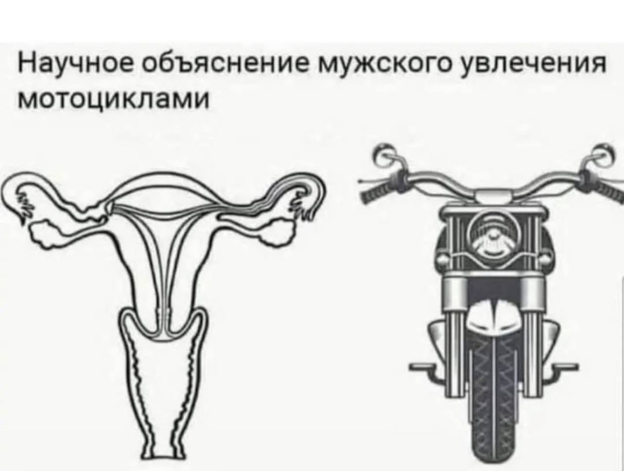 Научное объяснение мужского увлечения мотоциклами