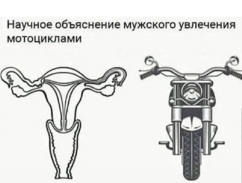 Научное объяснение мужского увлечения мотоциклами
