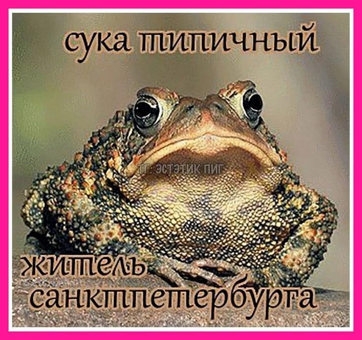 4 7 a сука 7 7 Sis К A у a 1 A