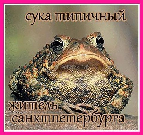 4 7 a сука 7 7 Sis К A у a 1 A